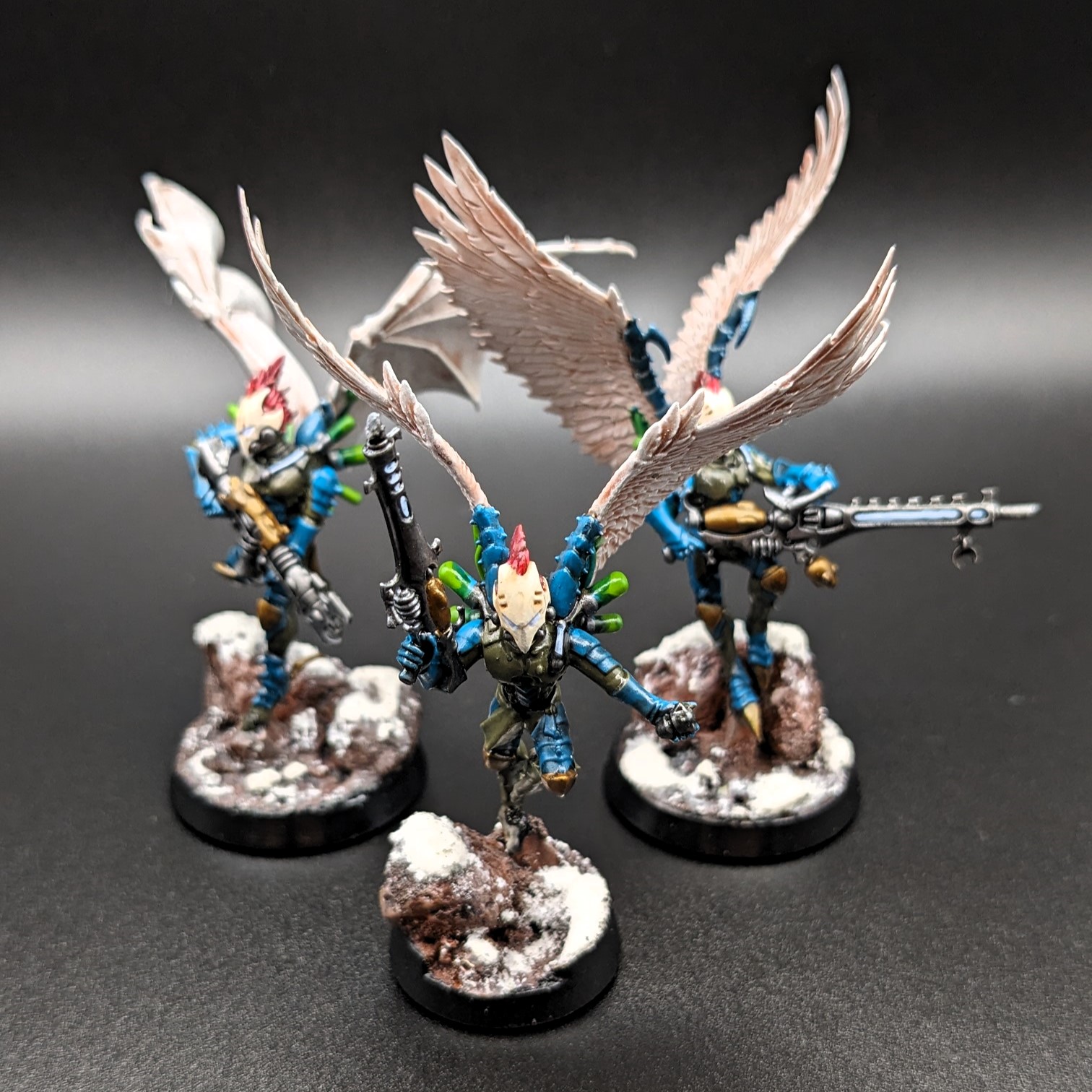 Winged Warriors