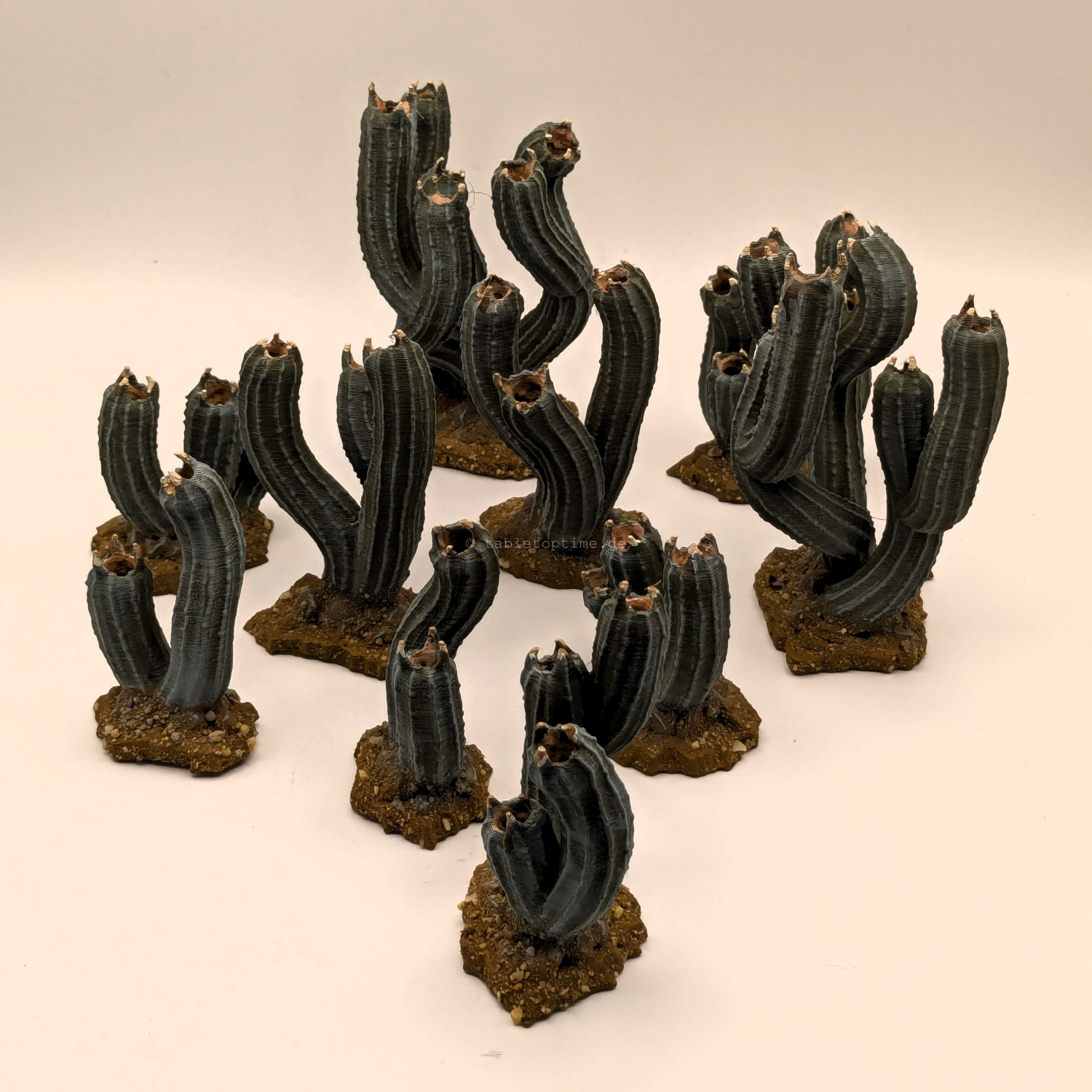 Vegetation