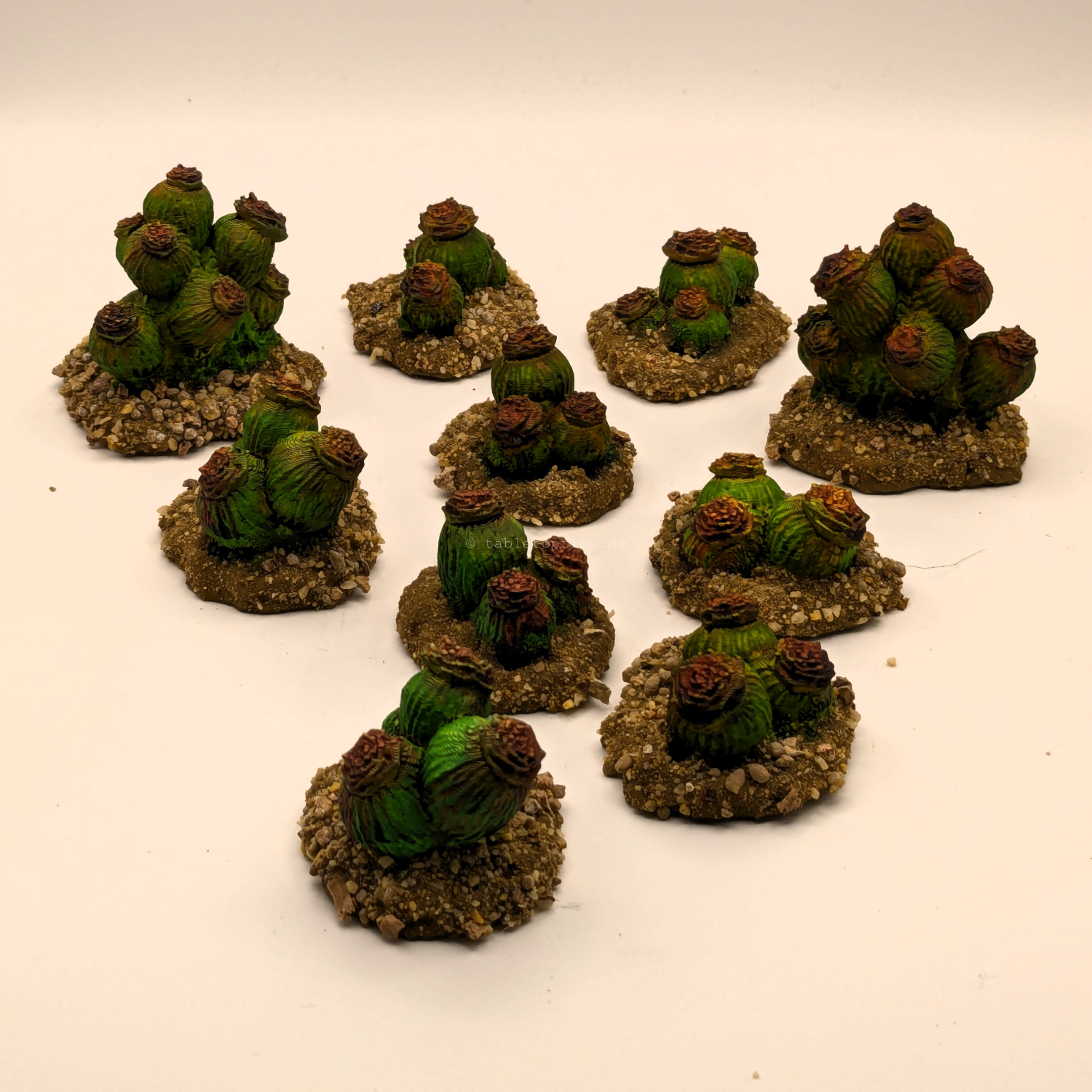 Vegetation