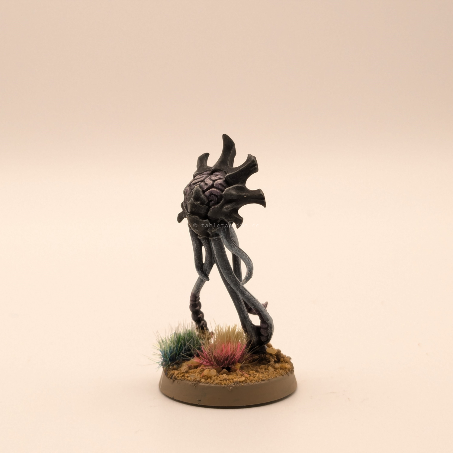 Spore