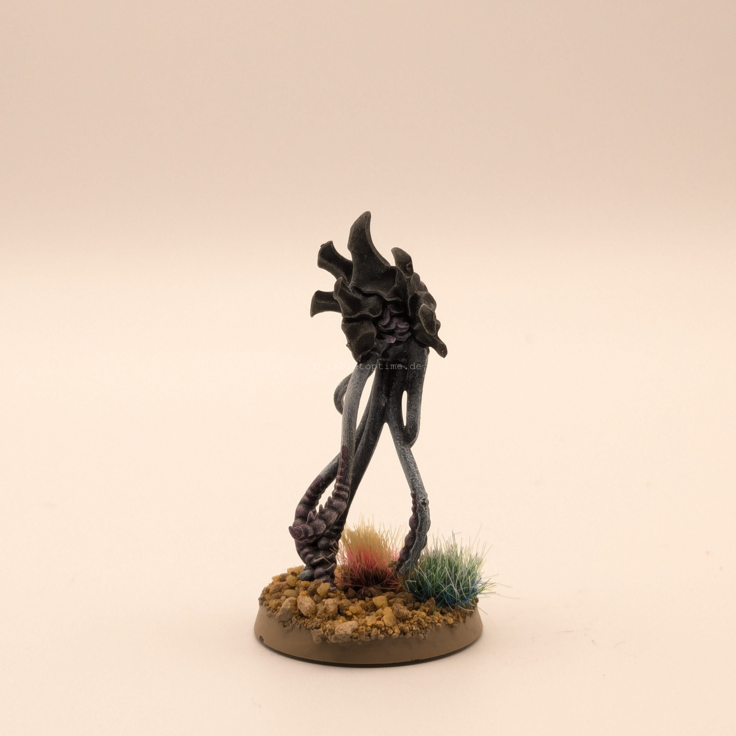 Spore